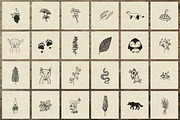 150 Hand Drawn Elements -Nature III-, an Animal Illustration by Michael Rayback Design (Thumbnail 5 of 15)