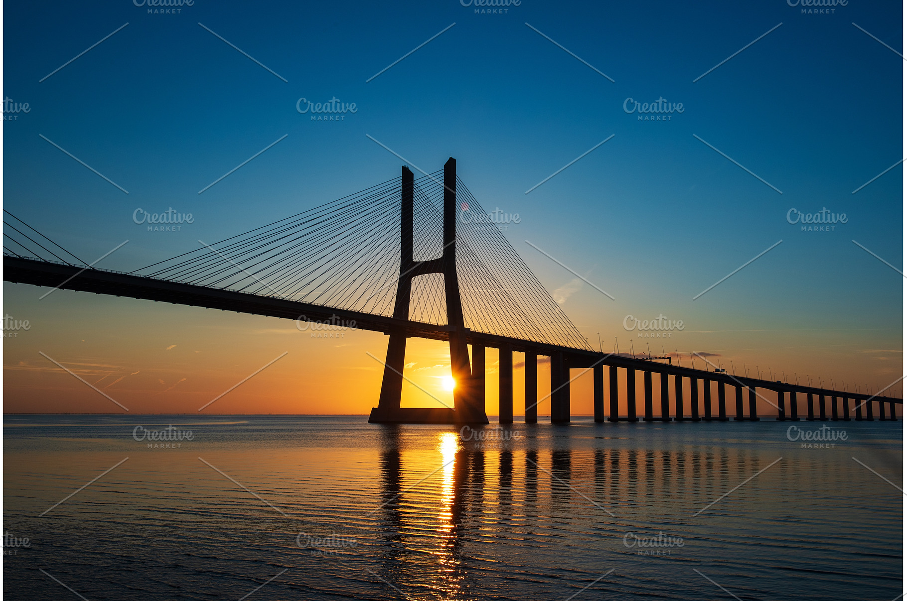 Vasco da Gamma road bridge in, an Architecture Photo by Nature and travel