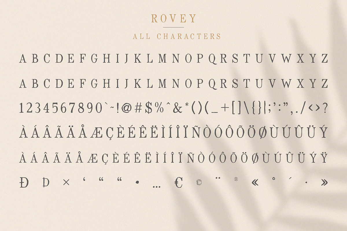 Rovey - Handwritten Serif Font+Bonus, a Serif Font by Craft Supply Co. (Photo 11 of 15)