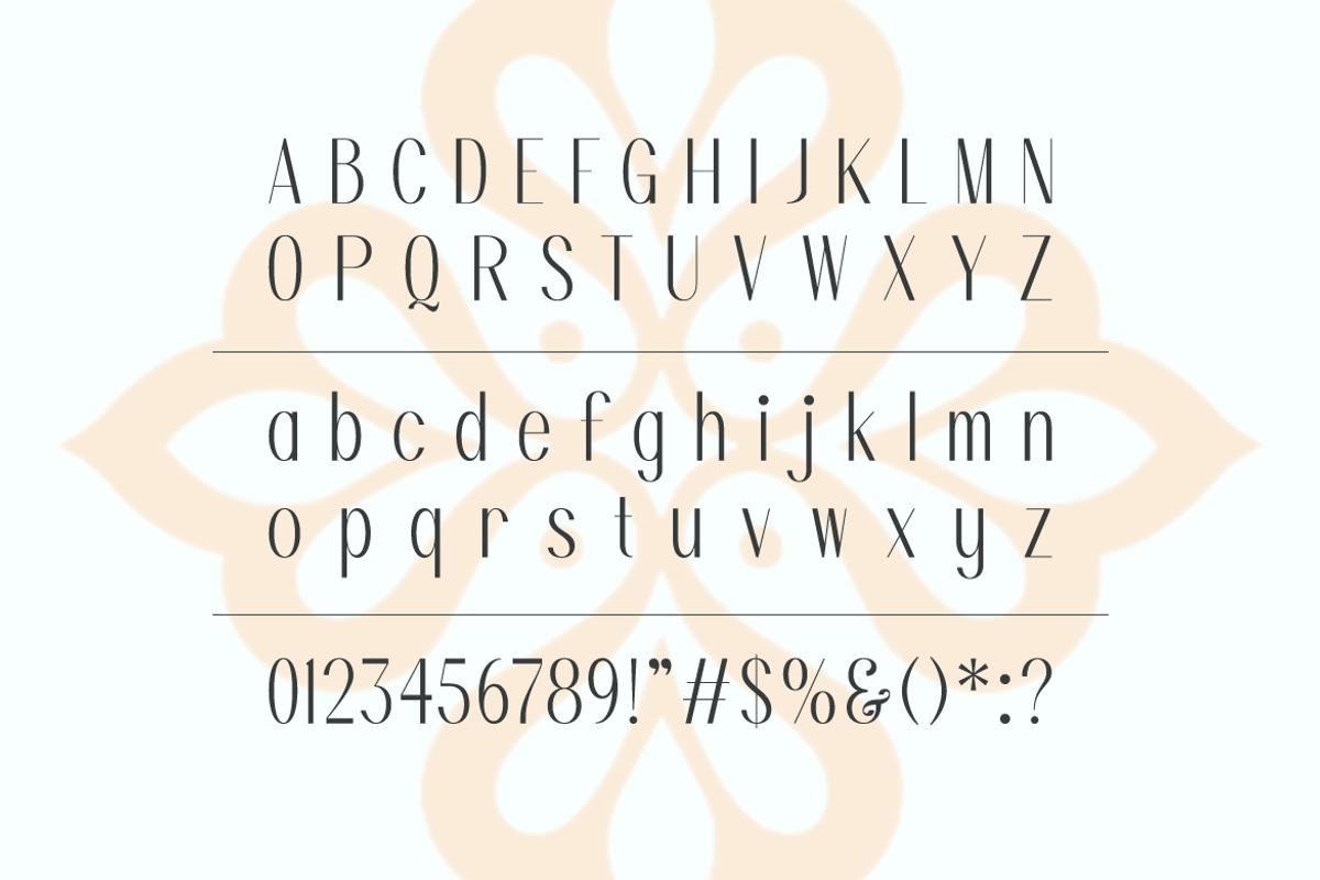 Ruana Modern Condensed Sans Font, a Sans Serif Font by Rasio Studio (Photo 2 of 11)