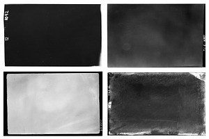 Nitrate Negatives