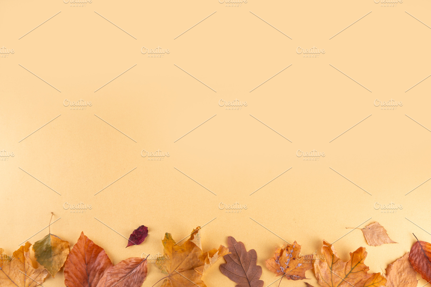 Empty blank card with fall leaves, a Holiday Photo by Rimma