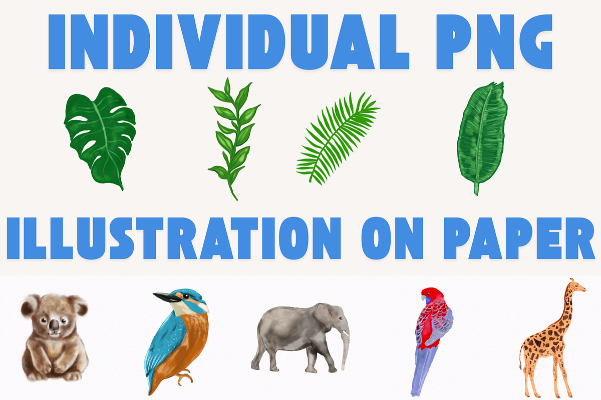 Wildlife Animals Set, an Animal Illustration by AMMi (Photo 3 of 4)