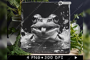 Frog Smiling Tongue Out Water Splash, a Background Graphic by LaseredNinja (Thumbnail 4 of 7)