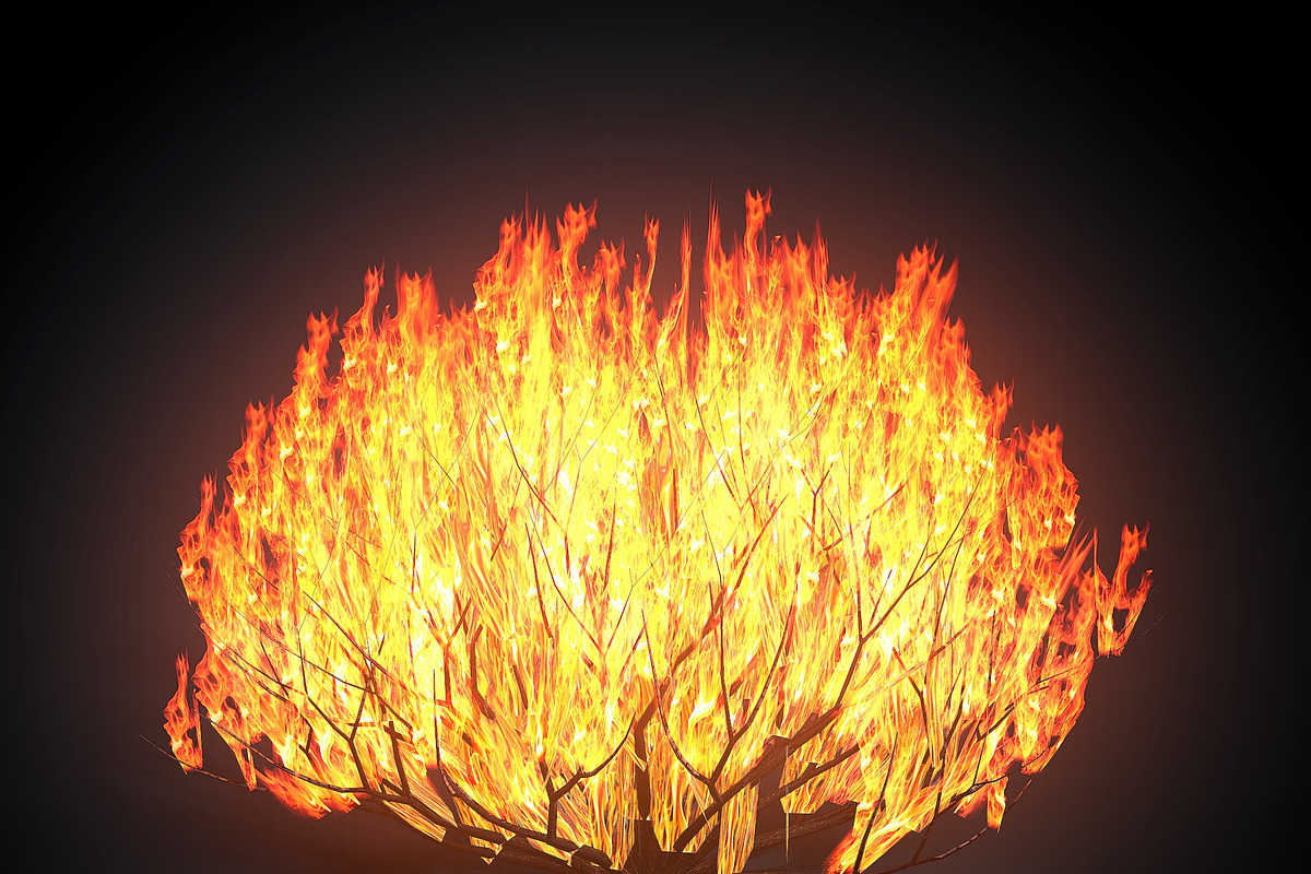 Burning bush, an Environmental 3D Model by AndrewWhite (Photo 6 of 9)