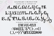 Wonderful Signature, a Handwritten Font by InermediaSTUDIO (Thumbnail 7 of 7)