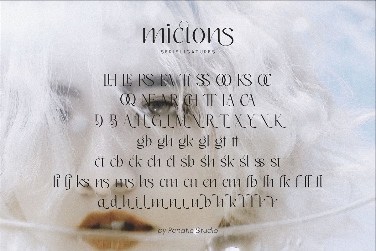 mictons, a Serif Font by Penatic Studio (Photo 10 of 10)