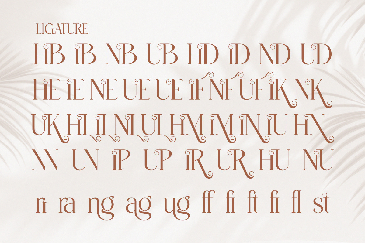 Bilifer - Modern Luxury Serif, a Serif Font by Qweera Studio (Photo 10 of 12)