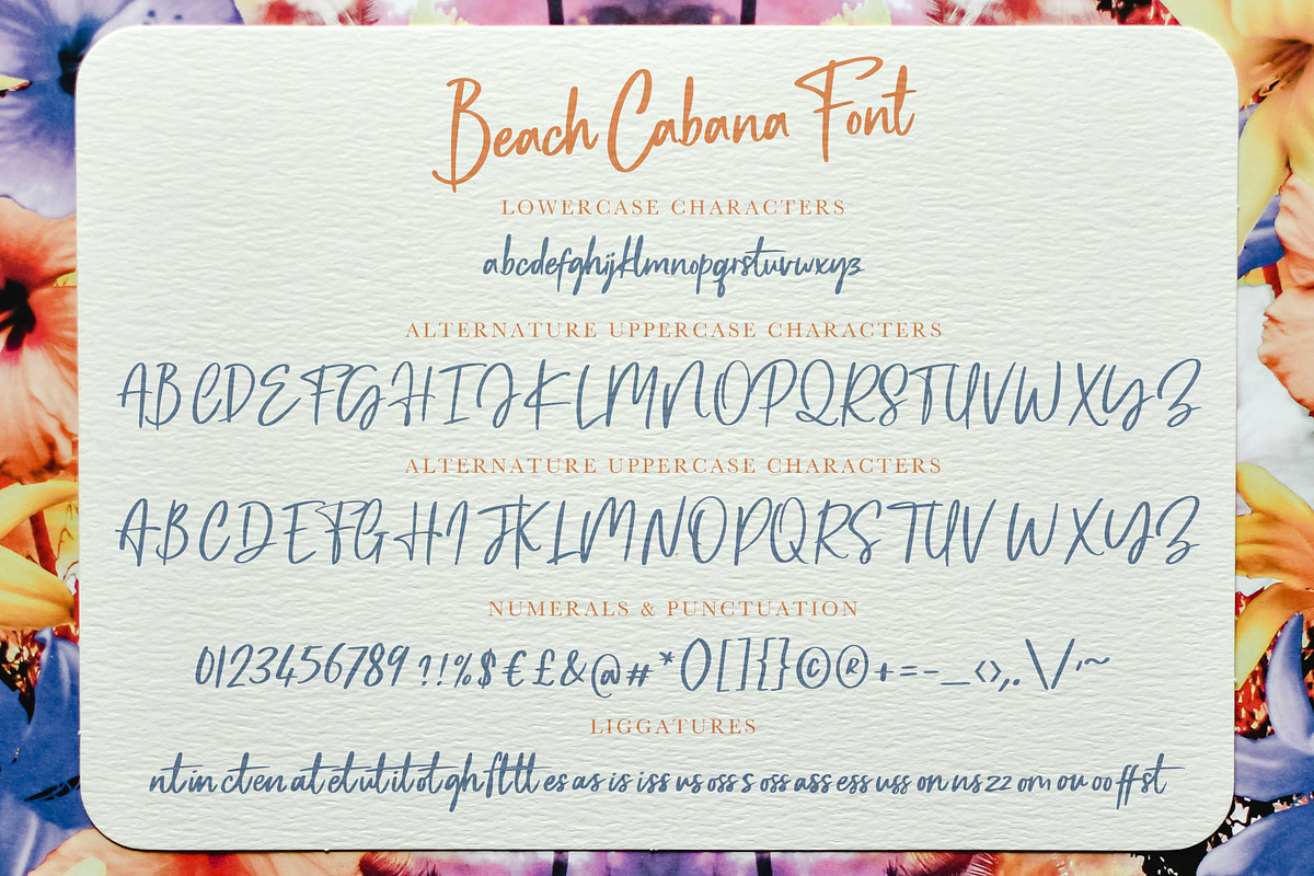 Beach Cabana Signature Font, a Font by ReveryWorks (Photo 21 of 21)