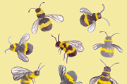Watercolor Bees - Hand painted, an Illustration by Sandra Jones Art (Thumbnail 2 of 2)