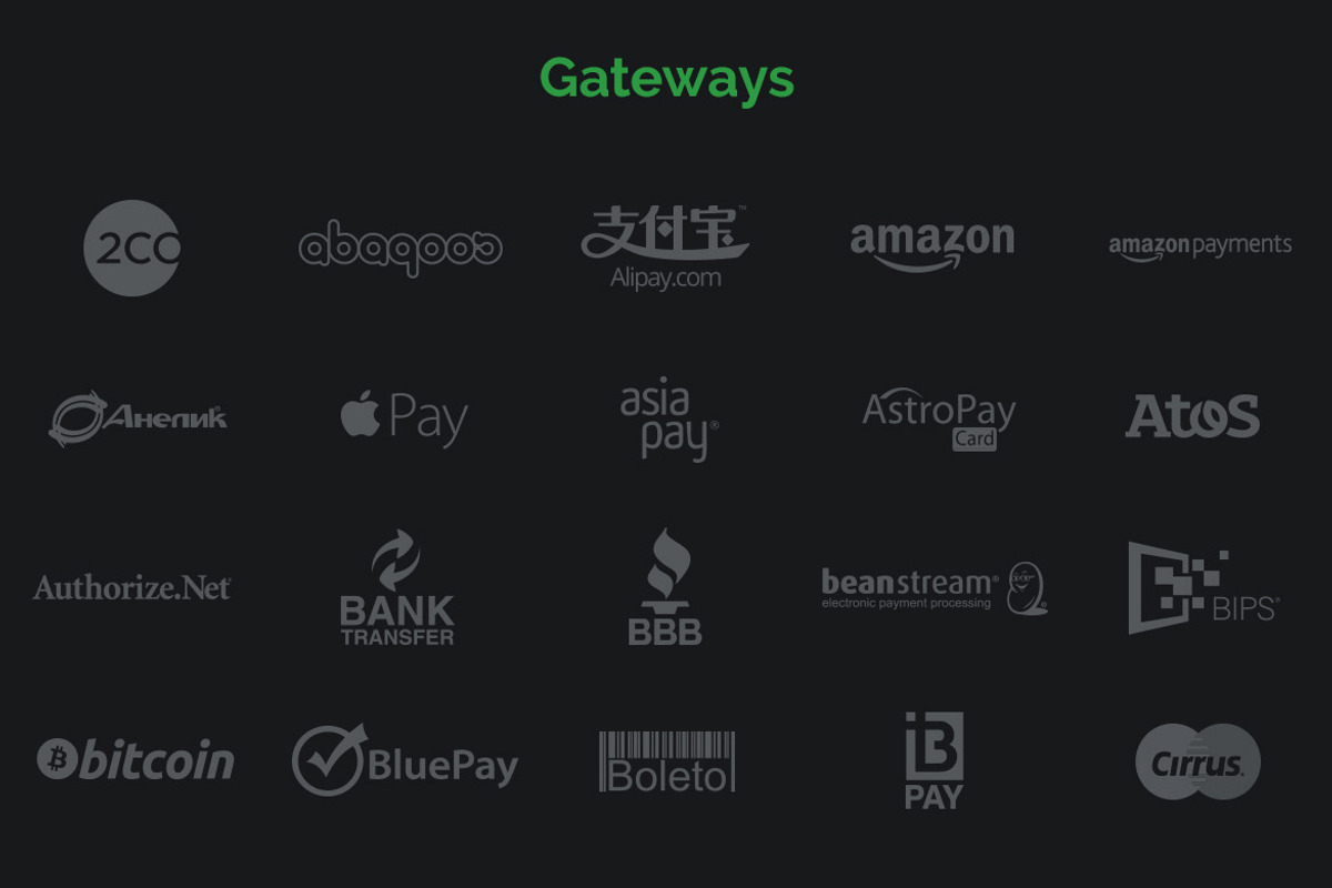 Payment Gateway Icons, an Icon by Ilya Pavlov (Photo 2 of 3)