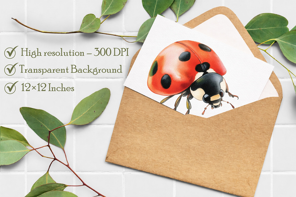 Watercolor Ladybug Clipart, an Illustration by Libby Wishes (Photo 4 of 7)