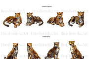 Cheetah Clipart, Wild Cat, Cheetah, an Animal Illustration by BrushstrokeArtGB (Thumbnail 6 of 9)