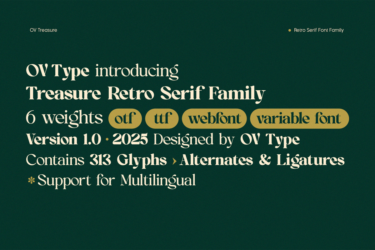OV Treasure Retro Serif Font Family, a Serif Font by OV Type (Photo 2 of 21)
