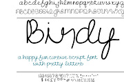 Font Birdy Cursive Script Fun Cute, a Script Font by PageLightStudios (Thumbnail 2 of 5)