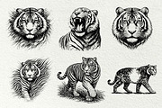 Jungle Tiger SVG Graphics, an Animal Illustration by DENIDigitalArtSudio (Thumbnail 2 of 8)