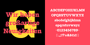 Perva, a Slab Serif Font by Eller Type (Thumbnail 6 of 8)