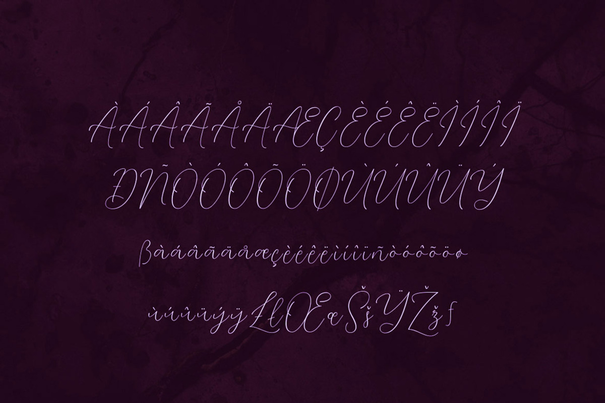 Soulmate Script Font preview 7