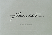Midnight Symphony // Script font, a Handwritten Font by PeachCreme (Thumbnail 3 of 15)