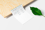 Professional Resume Format Example, a Resume Template by HIRED Design Studio (Thumbnail 10 of 18)