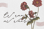 Ranessa Script, a Script Font by JNJ Studio (Thumbnail 8 of 10)