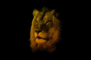 Line Art Lion Logo, a Branding & Logo Template by Designs Basket (Thumbnail 4 of 5)