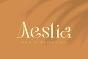 Bilea - Unique Brilliant Font, a Serif Font by suhadidesign (Thumbnail 2 of 14)
