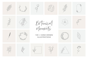 Botanical hand drawn elements, an Outline Icon by mayrum
