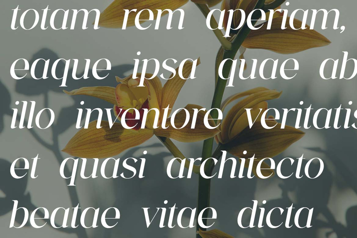 The Aesthetica Serif Modern Font, a Serif Font by UICreative (Photo 13 of 13)