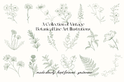 Botanical Line Art Illustrations, a Decorative Illustration by youtoview (Thumbnail 3 of 15)
