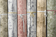Wildflower Meadow Vector Set, a Decorative Illustration by Molly art (Thumbnail 11 of 12)