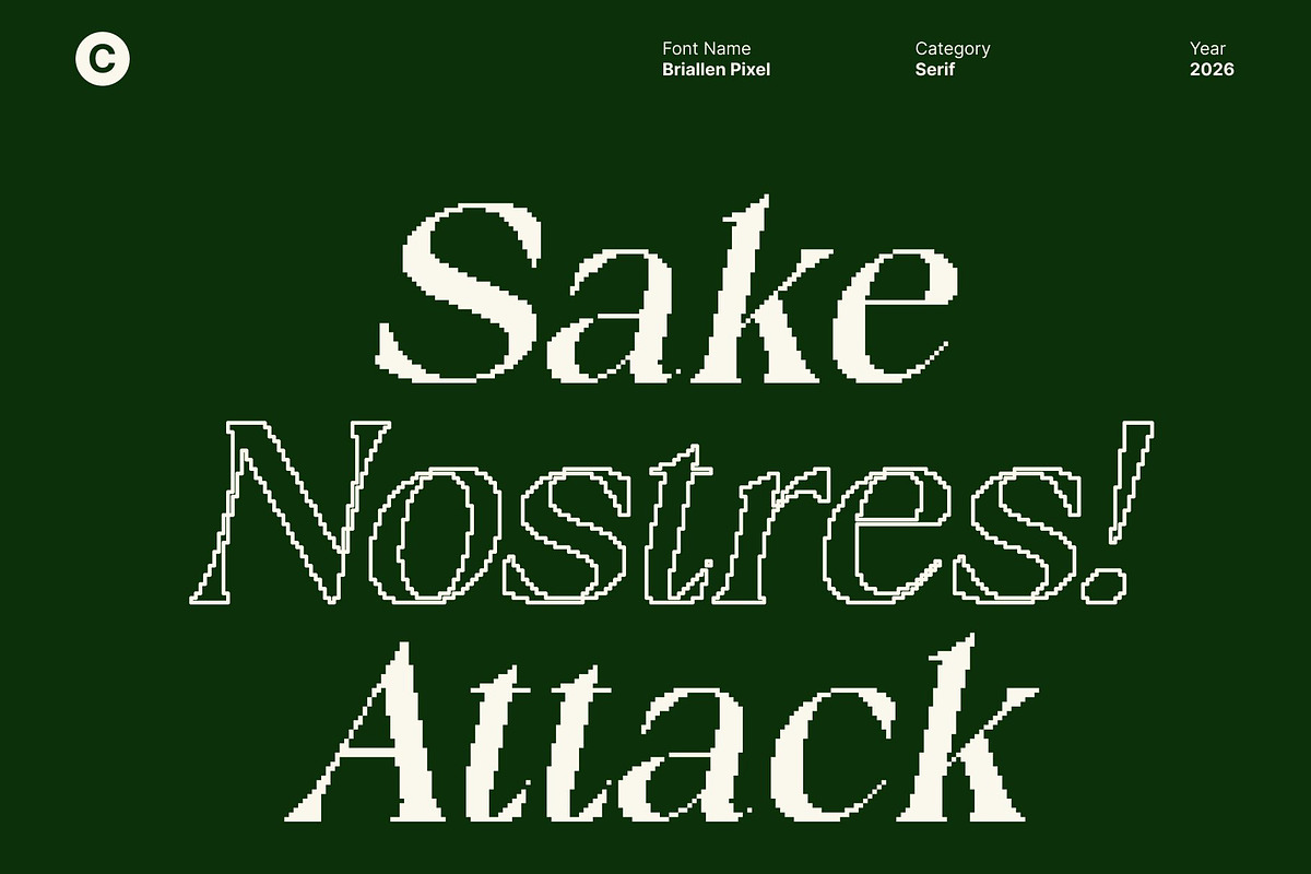 Briallen Pixel, a Serif Font by Craft Supply Co. (Photo 2 of 8)