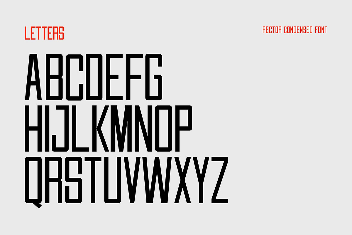 Rector, a Sans Serif Font by Lemockup (Photo 2 of 13)