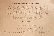 Norabita Thereal, a Handwritten Font by Integritype Studio (Thumbnail 9 of 15)