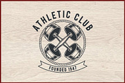 10 Vintage Gym Fitness Logo Badge, a Healthcare Illustration by Artivon (Thumbnail 7 of 11)