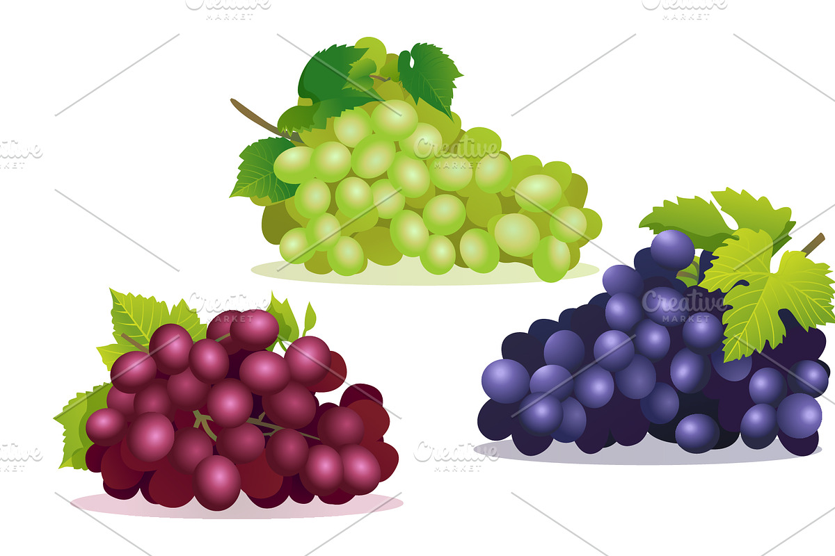 Fruit Cartoon Collection, a Decorative Illustration by YG Studio (Photo 15 of 22)