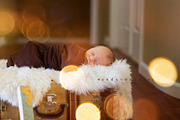 Gold Bokeh JPG photoshop overlays, a Plug-in Add-On by ZephyrDigital (Thumbnail 6 of 7)