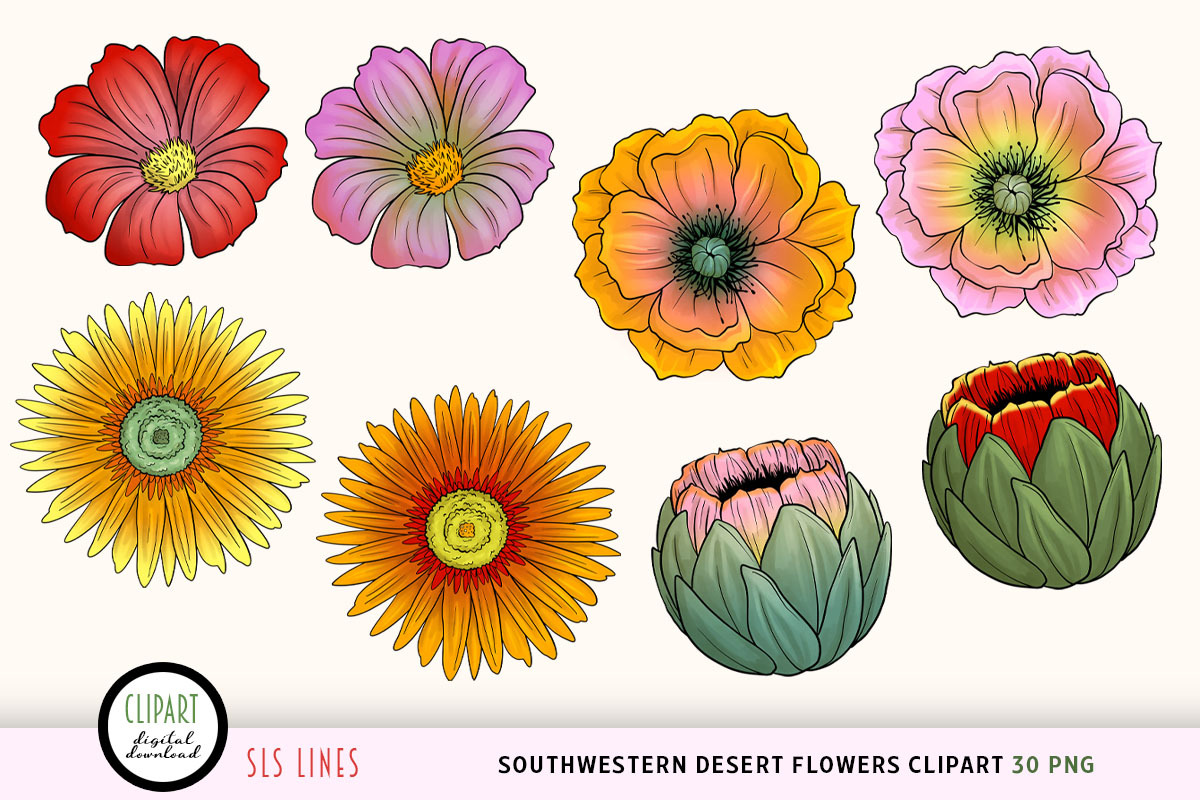 Southwestern Desert Flowers Clipart, a Decorative Illustration by SLS Lines (Photo 6 of 6)