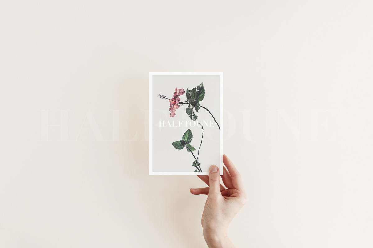 Minimalist Blank Card Mockup #1, a Mockup by HALFTOUNE (Photo 2 of 6)
