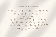 Solstikba - Modern Display Serif, a Serif Font by Artchitype Studio (Thumbnail 13 of 14)