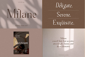 The Modern Font Bundle