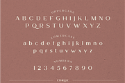 ETHIQUE, a Sans Serif Font by Bagerich Type Foundry (Thumbnail 2 of 8)