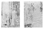 Rugged Halftone Grunge Textures, a Texture Graphic by AL's Design Studio (Thumbnail 14 of 15)