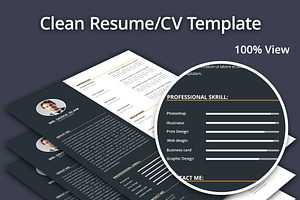 Clean Resume - CV 2017