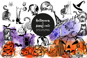 Hallowenn And Funny Cats