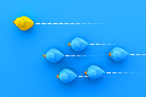 rubber ducks competition