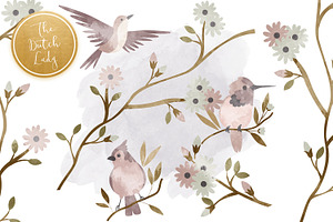 Birds & Feathers Clipart Set