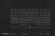 Ravensara Stencil | 9 fonts, a Serif Font by NAUM (Thumbnail 4 of 6)