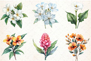 Watercolor Tropical Flowers Clipart, a Seasonal Illustration by Rose Art (Thumbnail 3 of 6)