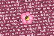 Rituals Sunday Serif Display Font, a Serif Font by timelesstype.co (Thumbnail 6 of 20)